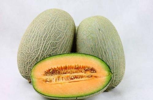 香猪吃哈密瓜好吗视频,美味与健康的完美邂逅