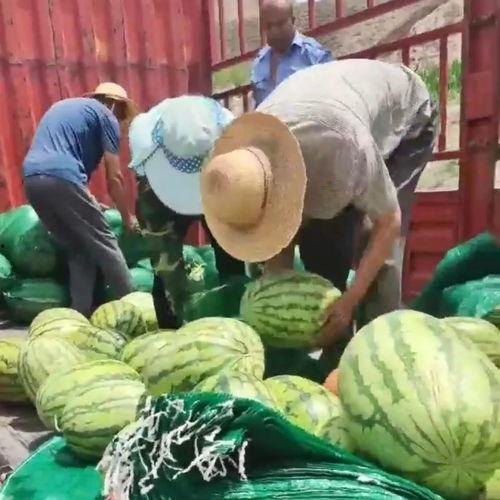 石棉县吃瓜群众事件视频,一场网络舆论的风暴与反思