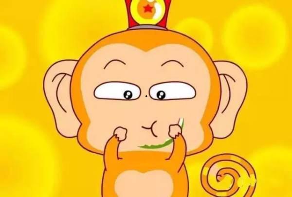 猴王吃瓜素材视频大全,趣味横生的动物搞笑瞬间大盘点