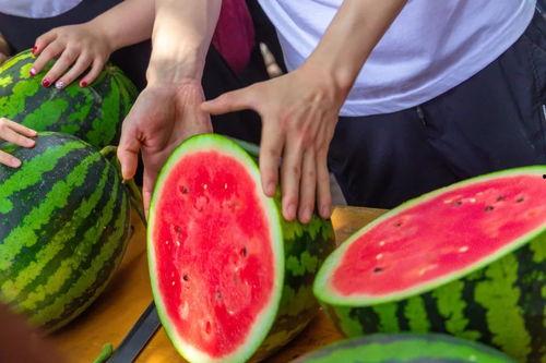 小熙霸的吃瓜西瓜视频,揭秘娱乐圈幕后故事