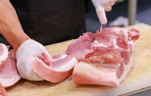 瓜娃娃吃猪肉视频播放,视频播放引发网友热议