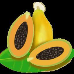 吃瓜音乐素材视频下载免费,免费下载吃瓜音乐素材，打造专属音乐盛宴