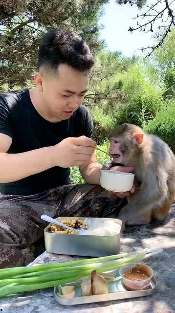 小猴吃瓜结局视频在线观看,揭秘瓜田奇遇背后的真相