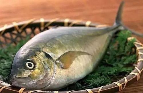 吃籽瓜能吃鱼吗视频讲解,吃籽瓜与鱼同食的奥秘